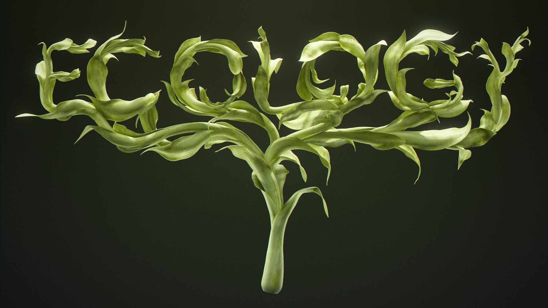 Illustration of a plant for a paper written by an ecology homework help service